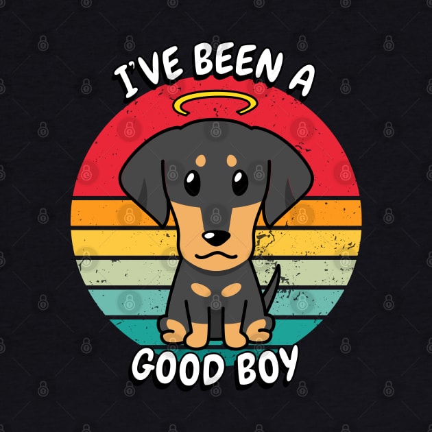 Cute dachshund dog is a good boy by Pet Station